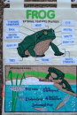 Wall_Chart_Lifecycle_Of_A_Frog