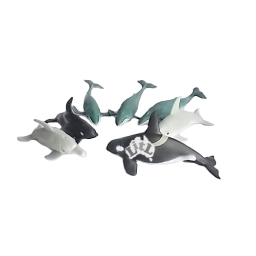 Polybag_Whales_And_Dolphins