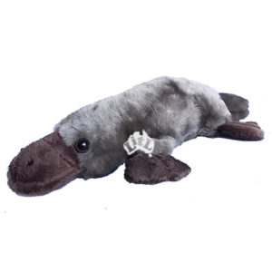 platypus weighted toy