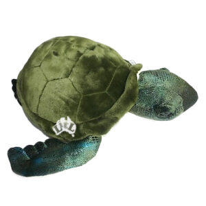 weighted turtle