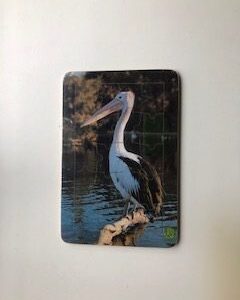 pelican puzzle