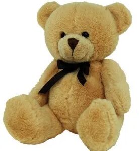 weighted teddy 2 kg