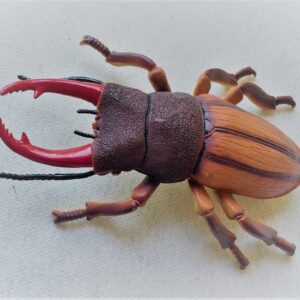 large plastic beetle
