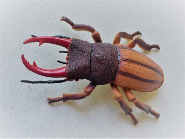 Large_Plastic_Beetle