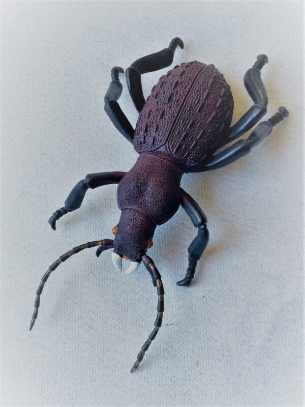 Large_Plastic_Beetle