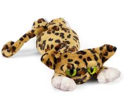 cheetah lanky cat